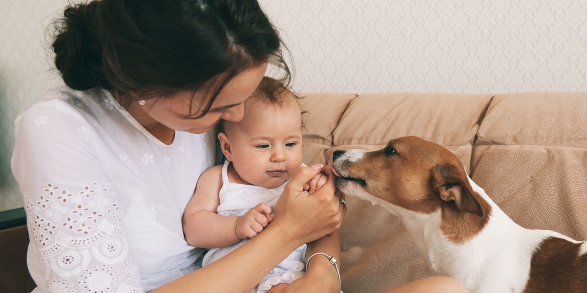 dont-worry-about-how-to-introduce-pets-to-a-new-baby-they-will-be-bestfriends